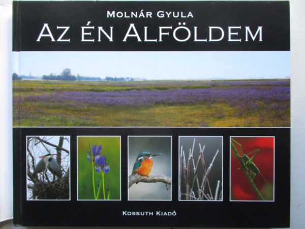 Molnr Gyula - Az n Alfldem