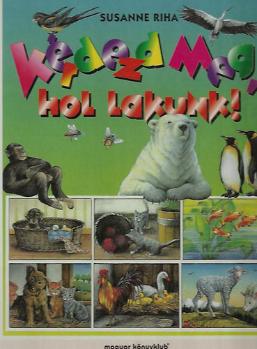 Susanne Riha - K�rdezd meg, hol lakunk!