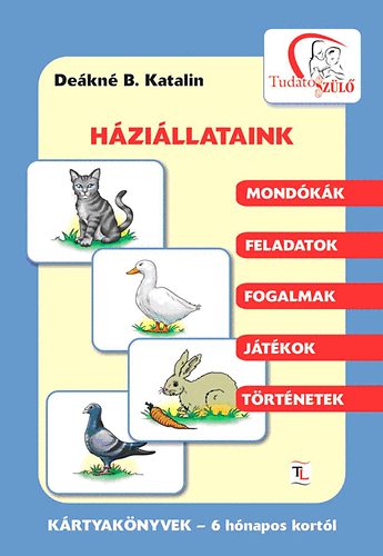 Dekn B. Katalin - Hzillataink