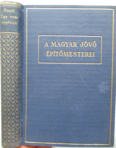 Ssdi Sndor - Egy nyr regnye
