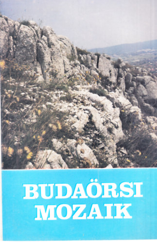 Luk�cs Andr�s (Szerk.) - Buda�rsi mozaik
