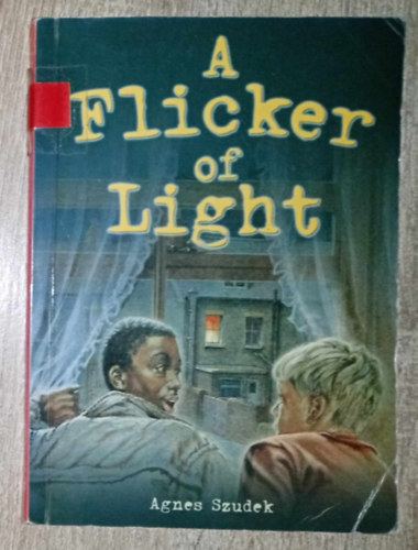 Agnes Szudek - A Flicker of Light