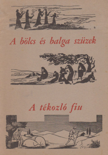 A b�lcs �s balga sz�zek - A t�kozl� fiu