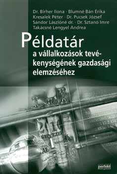 Blumn� B�n Erika; Dr. Birher Ilona - P�ldat�r a v�llalkoz�sok tev�kenys�g�nek gazdas�gi elemz�s�hez
