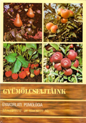 Dr. Bödecs Lászlóné Faluba Zoltán Harsányi József Majoros László - Gyümölcsfajtáink Fajtaújítás és fajtafenntartás, A fajtaválaszték és fejlődése, Fajtaválasztás a gyakorlatban, FAJTAISMERTETÉS GYÜMÖLCSFAJONKÉNT. A Starking hazai szelektálású klónjai