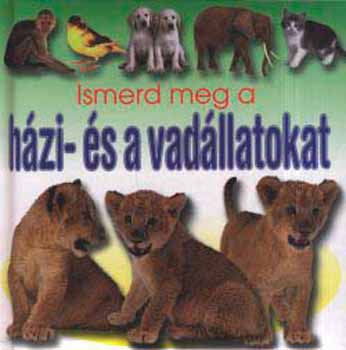 Alexandra Kiad - Ismerd meg a hzi- s a vadllatokat