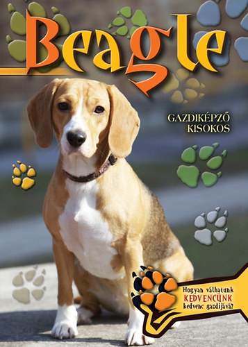 Beagle