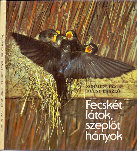 Schmidt Egon- Bécsy László - Fecskét látok, szeplőt hányok
