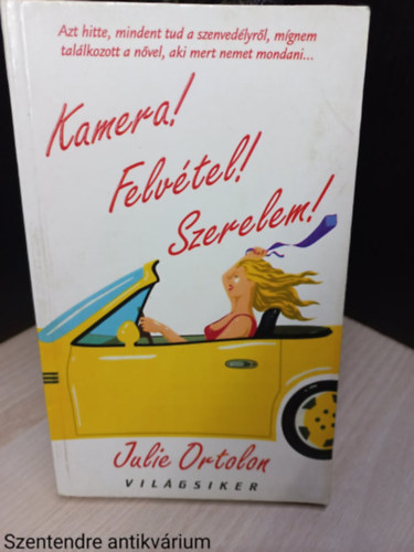 Julie Ortolon - Kamera! Felvtel! Szerelem! (Sajt kppel)