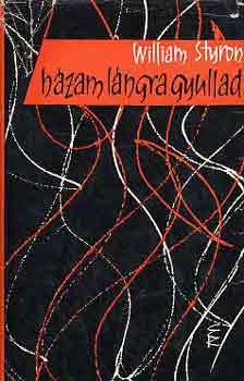 William Styron - H�zam l�ngra gyullad