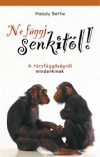 Melody Beattie - Ne fggj senkitl!