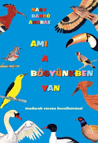 Nagy Band Andrs - Ami a bgynkben van