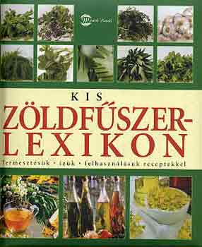 Rausch, A.-Lotz, B. - Kis zöldfűszerlexikon