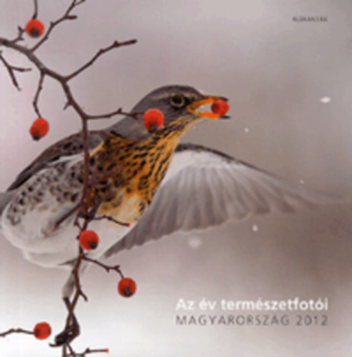 Az v termszetfoti - Magyarorszg 2012