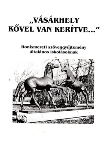 Sz�nt�n� Szil�gyi �gnes - V�s�rhely k�vel van ker�tve- Honismereti sz�veggy�jtem�ny �ltal�nos iskol�soknak