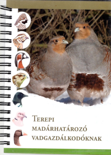 B�r� Istv�n - Terepi mad�rhat�roz� vadgazd�lkod�knak