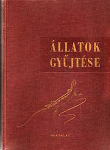 Kaszab-Sos-Mczr - llatok gyjtse