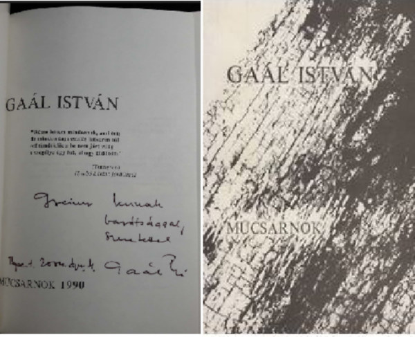 Ga�l Istv�n - M�csarnok