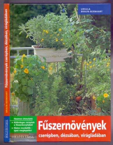 Ursula Braun-Bernhart - Fszernvnyek - cserpben, dzsban, virgldban (Hasznos tmutat)