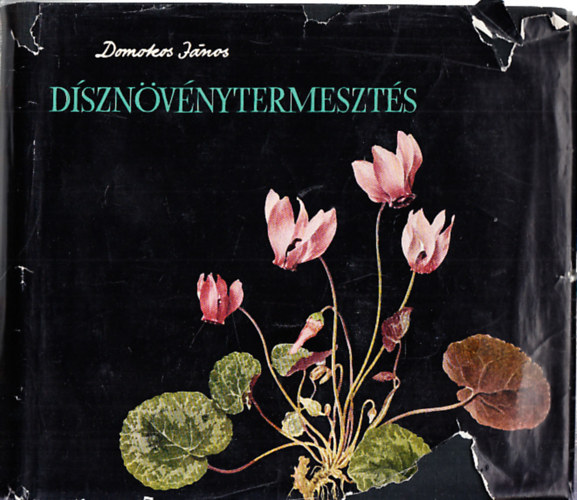 Domokos Jnos - Dsznvnytermeszts