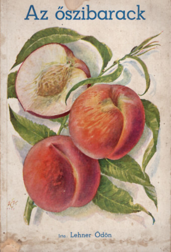 Lehner Ödön - Az őszibarack (Lehner)