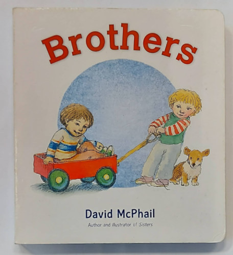 David McPhail (author and illus.) - Brothers (Lapoz meseknyv, angol nyelven)
