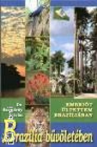 Brazília bűvöletében - Embriót ültettem Brazíliában