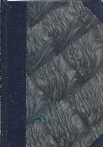 Tillmann L�szl� - K�tezer�ves v�ros (Ifj�s�gi elbesz�l�sek Budapest multj�b�l)