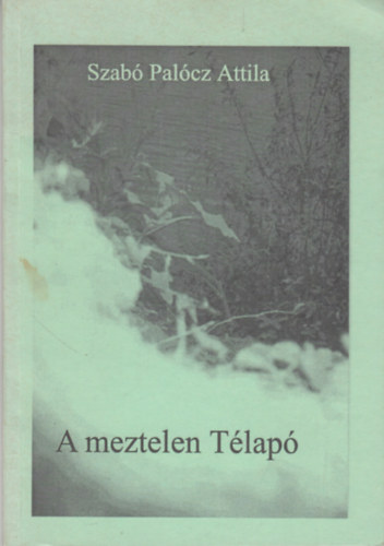 Szab Palcz Attila, ifj. Szloboda Tibor - A meztelen Tlap / A.