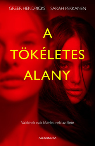 Greer Hendricks, Sarah Pekkanen - A tkletes alany