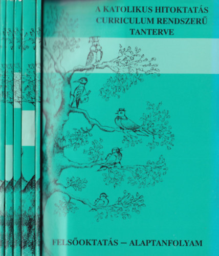A katolikus hitoktatás curriculum rendszerű tanterve 5 db. (Az általános iskolák alsó tagozata számára + Az általános iskolák felső tagozata számára + A reáliskolák 7-10. évfolyama számára + A gimnáziumok 7-11. évfolyama számár