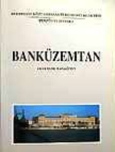 Ligeti Sndor; Sulyok-Pap Mrta (szerk.) - Bankzemtan - egyetemi tanknyv