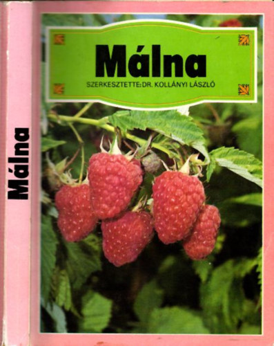 Dr. Kollányi László - Málna