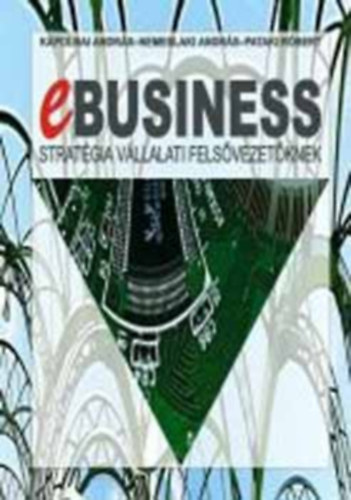 Kpolnai Andrs; Nemeslaki Andrs; Pataki Rbert - E-business stratgia vllalati felsvezetknek