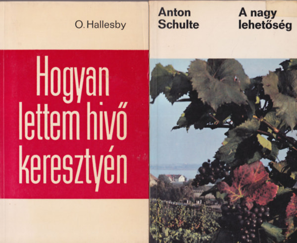Werner Gitt, H.E. Fosdick, O. Hallesby, Anton Schulte - 4 db vallsi knyv: A nagy lehetsg + Hogyan lettem hv keresztyn + A Biblia a modern ember kezben + Logosz vagy kosz