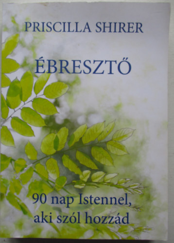 Priscilla Shirer - Ébresztő - 90 nap Istennel, aki szól hozzád