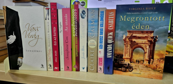 Vass Virág, Leila Sales, Melissa Moretti, Josephine Cox, Susan Maushart, Jennifer Blake, Claire Calman, Stephanie Calman, Amanda Quick, Virginia Baily - 11db romantika, KÖNYVMENTŐ AJÁNLAT: Sohaférfi+ Krásznájá Moszkva+ Éld az életed!+ Ház a hegytetőn+ Az utazás+ Asszonysors+ Tigrisnő+ Leckék vasárnapi apukáknak+ Egy rossz anya vallomásai+ Csábítás+ Megrontott éden