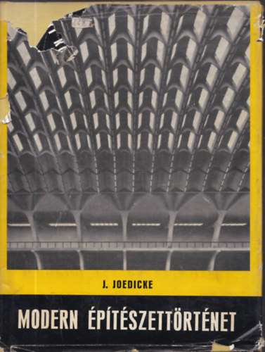 Jürgen Joedicke - Modern építészettörténet