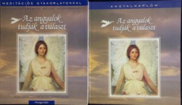 Alma Daniel - Timothy Wyllie - Andrew Ramer - Az angyalok tudjk a vlaszt - Meditcis gyakorlatokkal + Angyalnaplm (2 m)