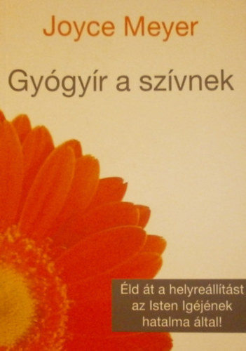 Joyce Meyer - Gygyr a szvnek