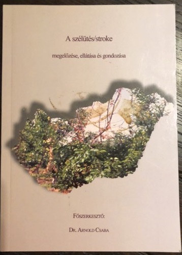 Arnold Csaba dr. - A szlts -stroke megelzse, elltsa s gondozsa