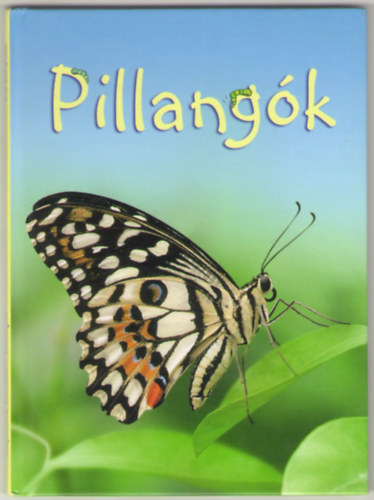 Stephanie Turnbull - Kis knyvtr: Pillangk