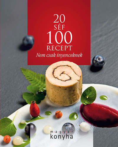 20 sf - 100 recept