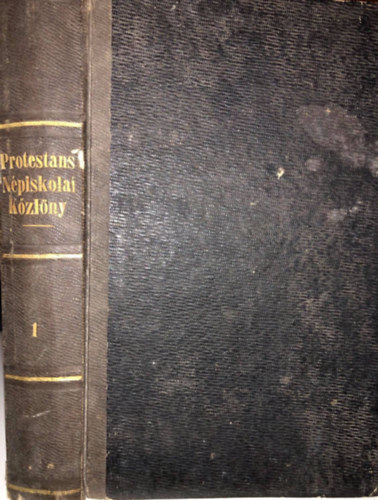rvai Jzsef, Nagy Lszl (szerk.) - Protestns Npiskolai Kzlny 1866
