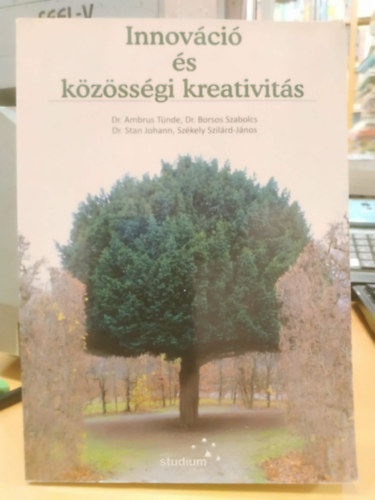 Dr. Ambrus Tünde, Dr. Borsos Szabolcs, Dr. Stan Johann, Székely Szilárd-János - Innováció és közösségi kreativitás (Editura Studium)