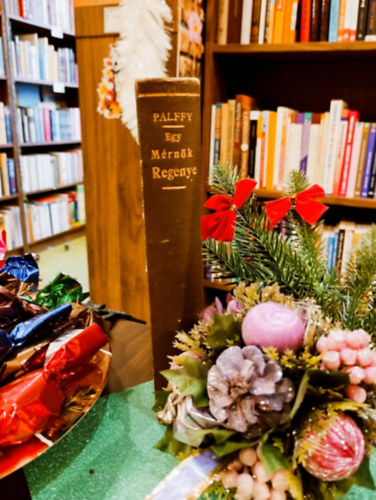 Pálffy Albert - Egy mérnök regénye. Két kötet egyben.