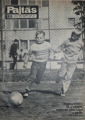 Vasvri Ferenc (szerk.) - Pajts XXVII. vfolyam 23. szm