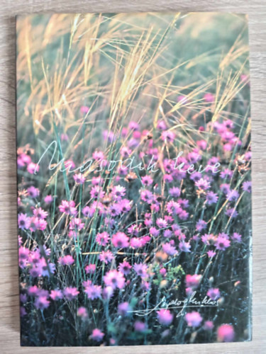 Balog Mikls - Msodik kve - Versek