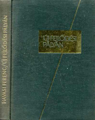 Havasi Ferenc - Új fejlődési pályán