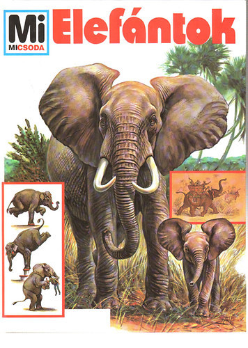 Dr. Ulrich Sedlag - Mi micsoda? 17. - Elefántok